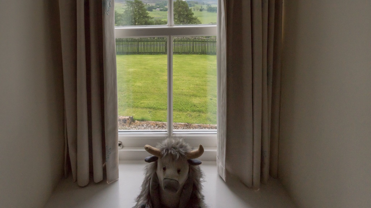 Photo of Others in Blairgowrie