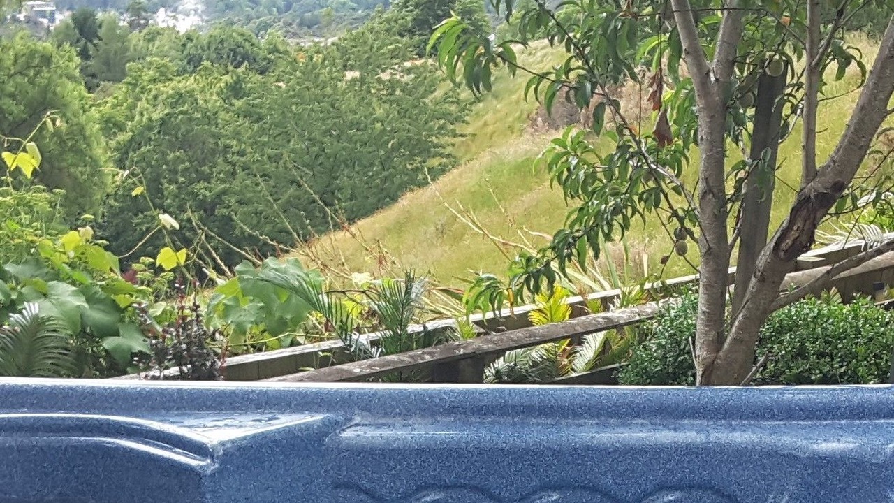 Photo of Outdoor in Rotorua
