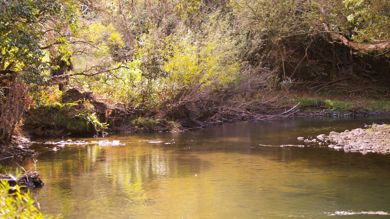 Photo of Outdoor in Orere Point