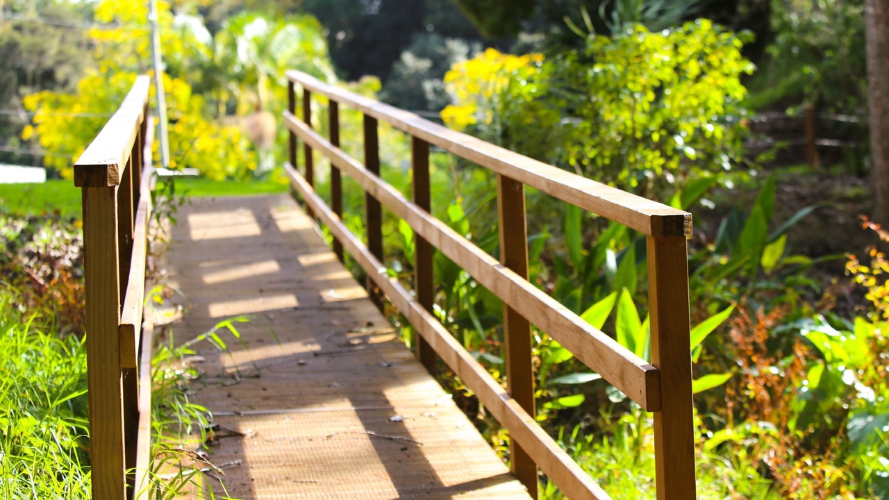 Photo of Outdoor in Orere Point