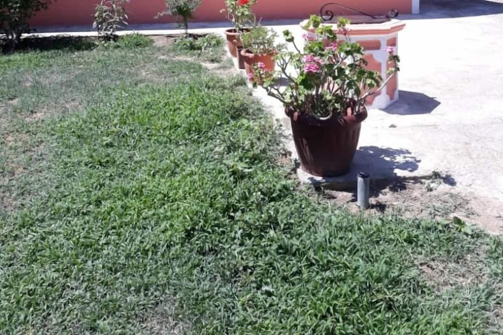 Photo of Outdoor in Alonia