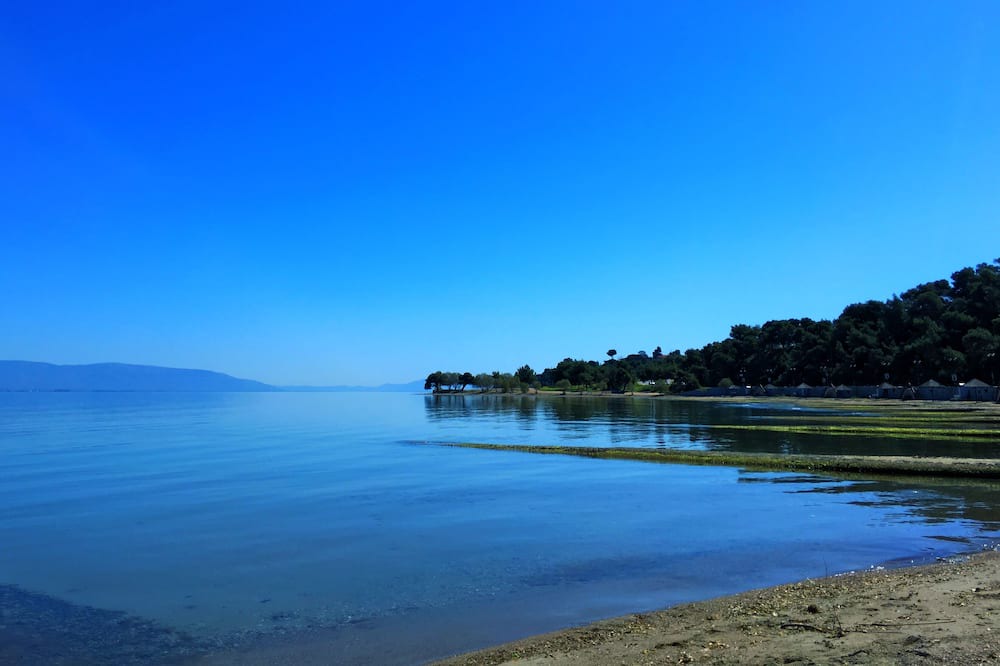 Photo of Others in Tanagra