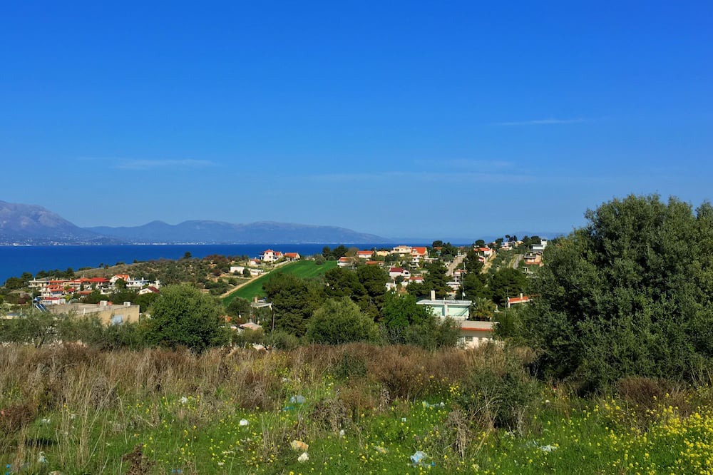 Photo of Others in Tanagra