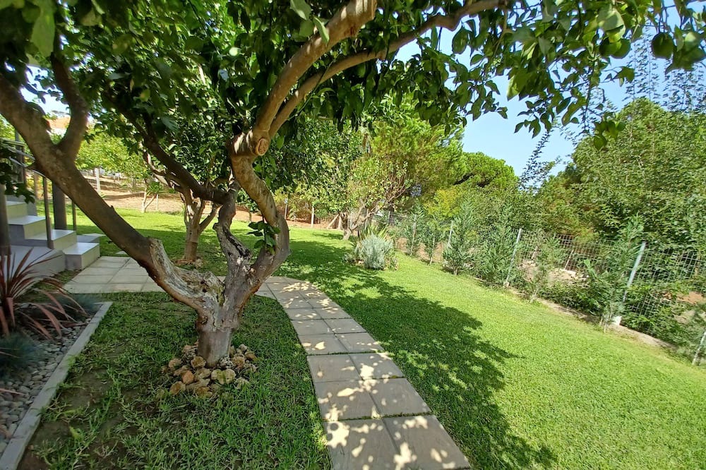 Photo of Outdoor in Katakolo