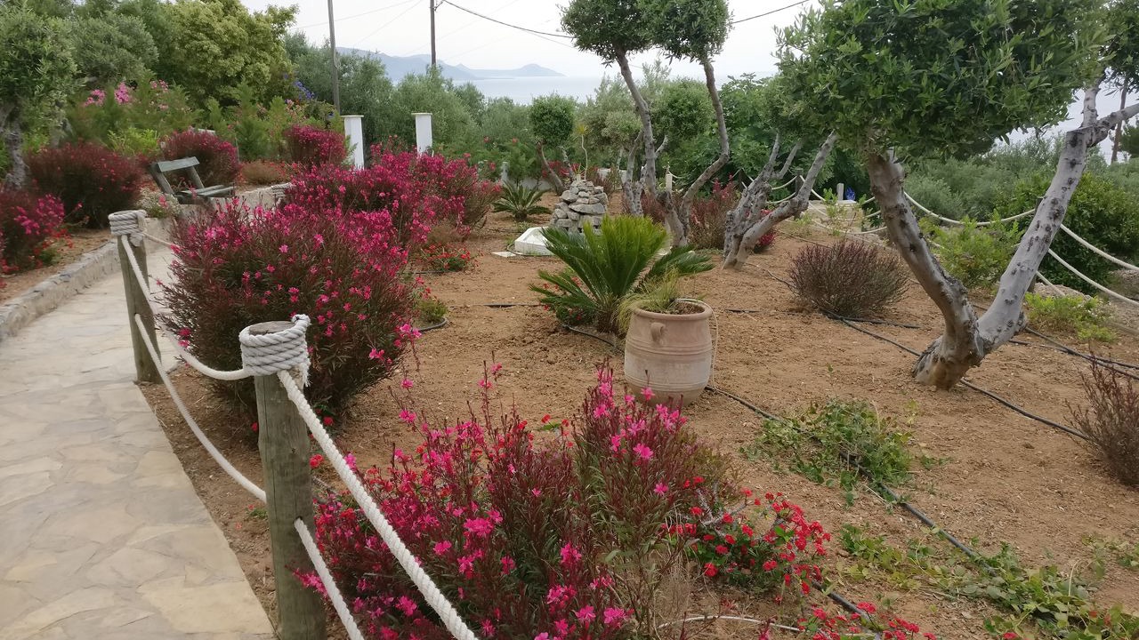 Photo of Outdoor in Achlia