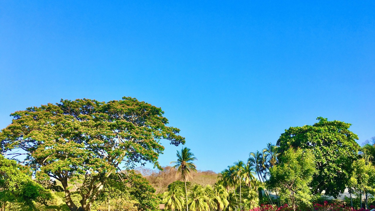 Photo of Outdoor in Playa Naranjo