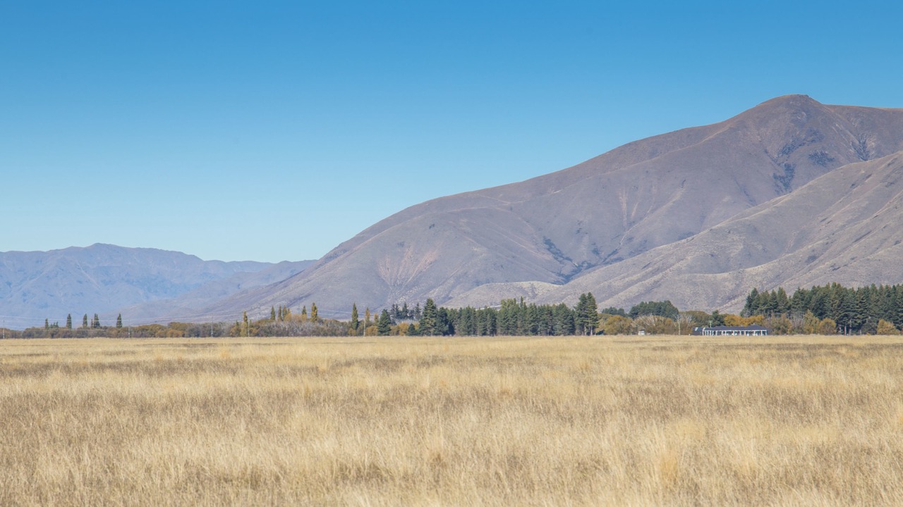 Photo of Others in Pukaki