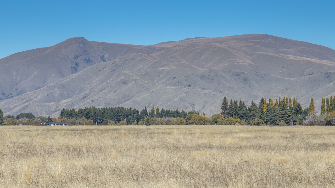 Photo of Others in Pukaki