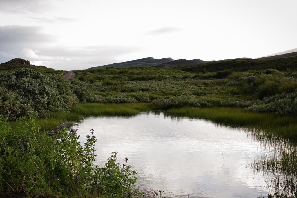 Photo of Outdoor in Egilsstadir
