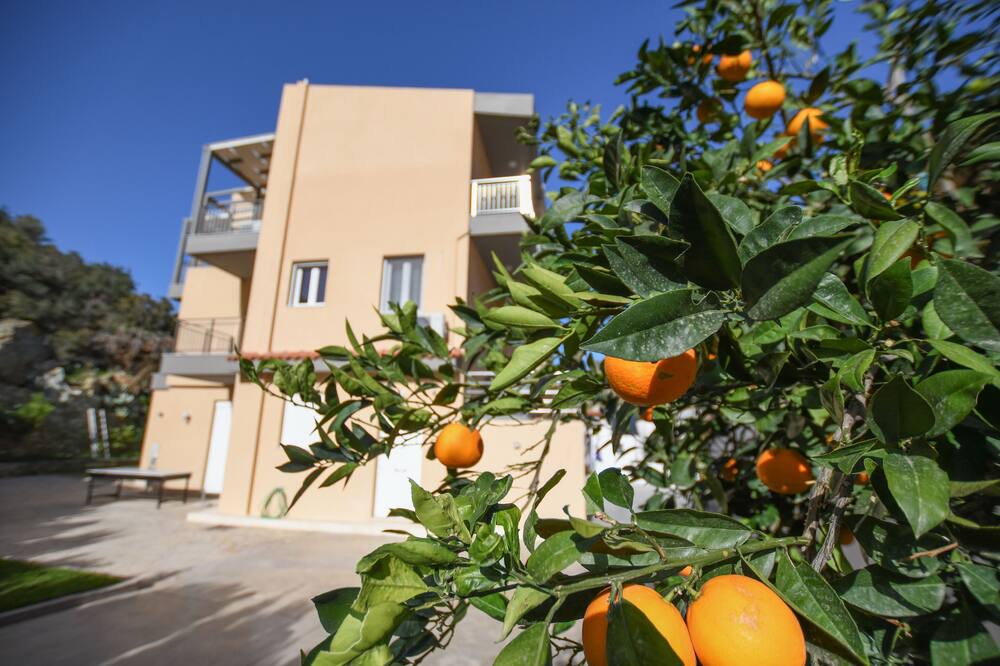 Photo of Outdoor in Lygaria