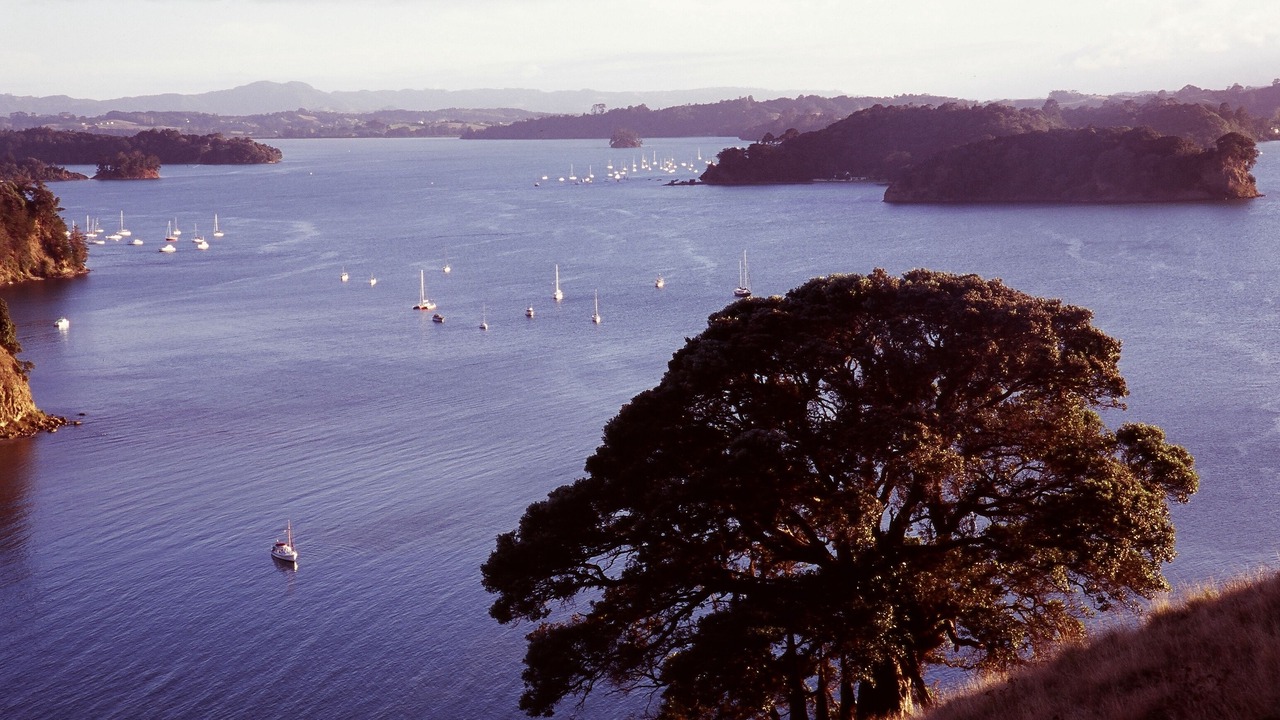 Photo of Others in Mahurangi West