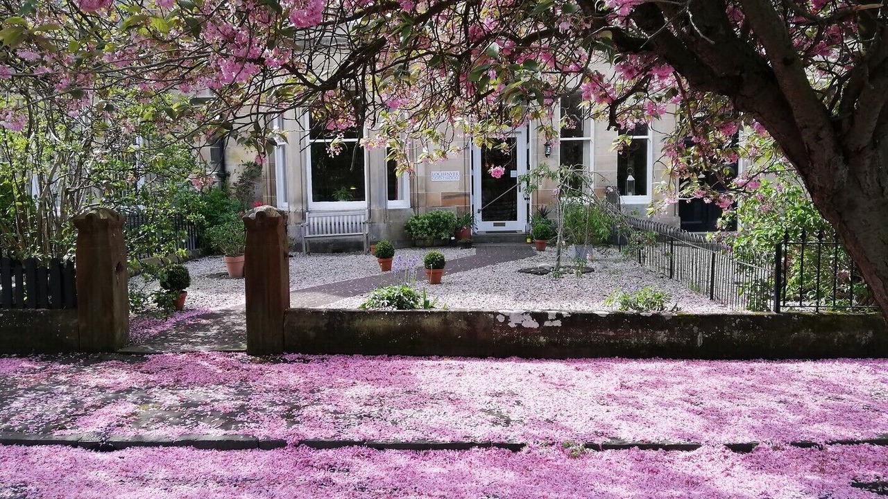 Photo of Outdoor in Ayr