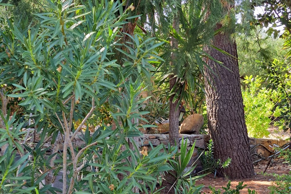 Photo of Outdoor in Alika