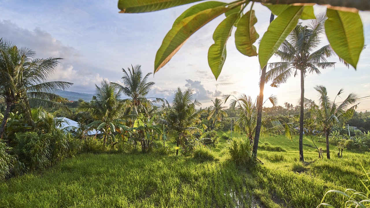 Photo of Outdoor in Sukasada