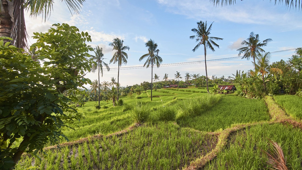 Photo of Outdoor in Sukasada