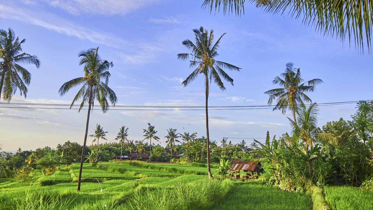 Photo of Outdoor in Sukasada