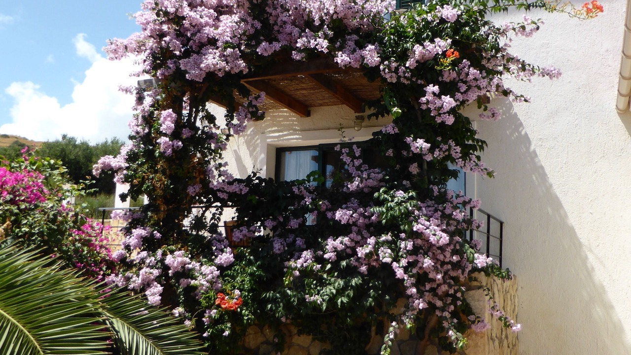 Photo of Outdoor in Eleios-Pronnoi