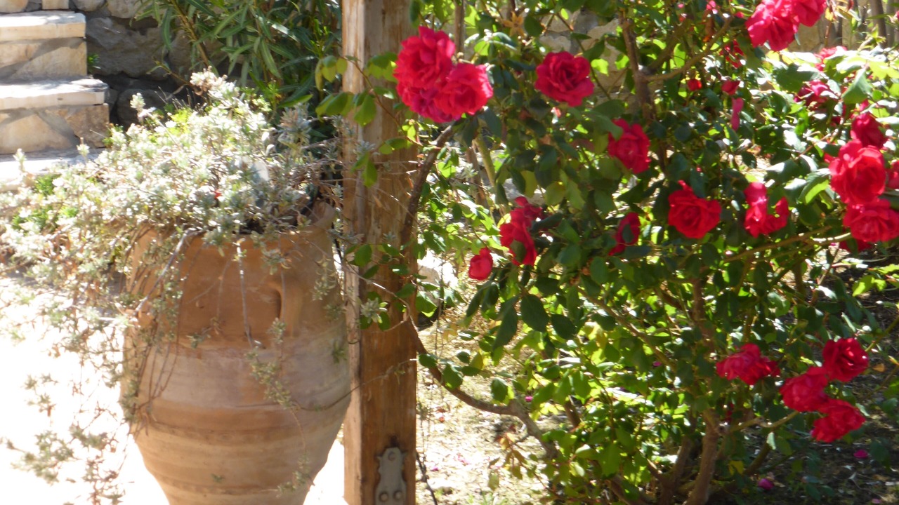 Photo of Outdoor in Eleios-Pronnoi