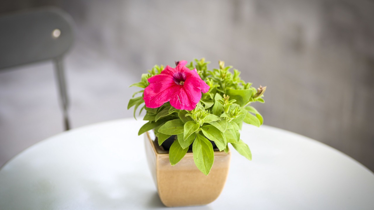 Photo of Outdoor in Noto Marina