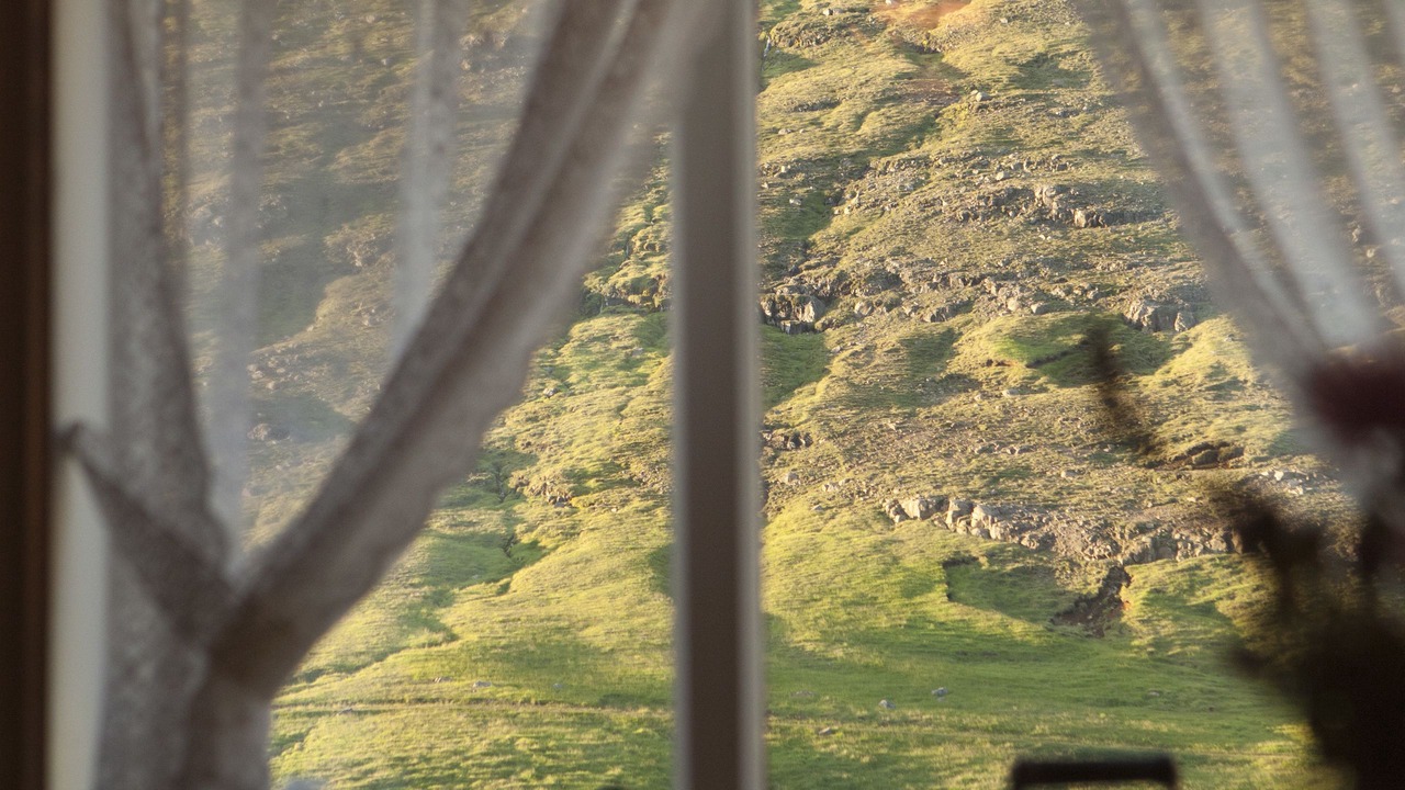 Photo of Others in Hallormsstadur