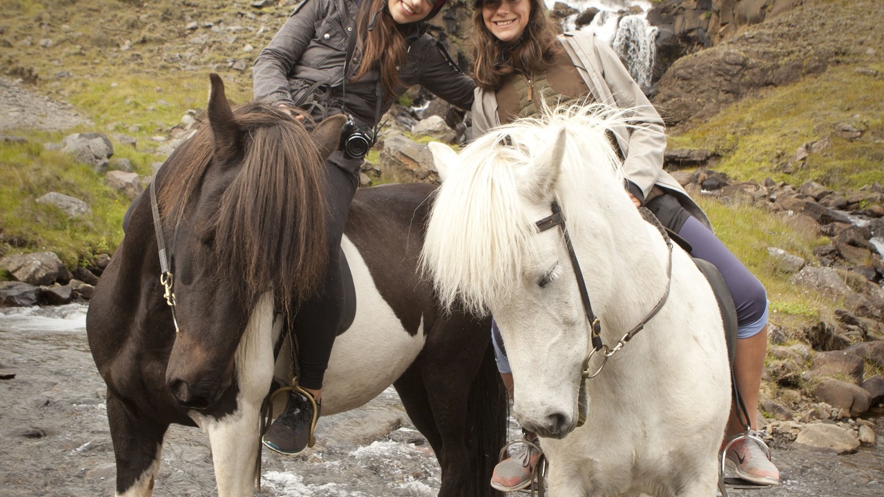Photo of Others in Hallormsstadur
