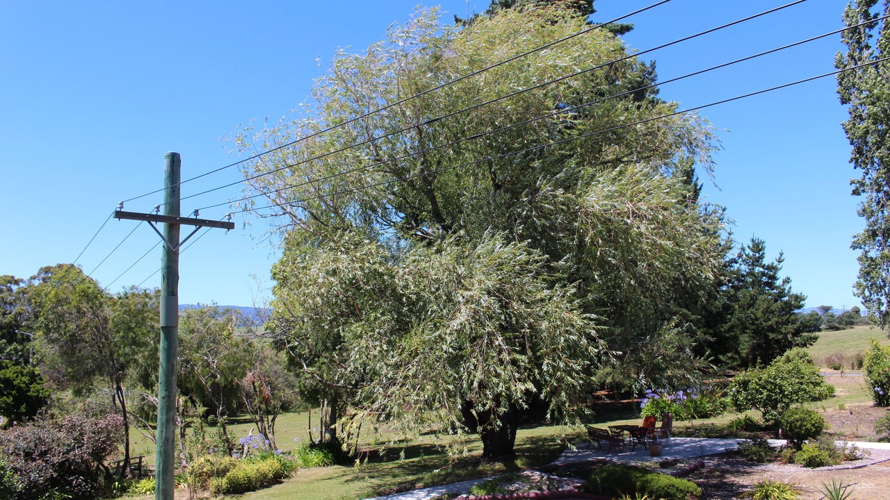 Photo of Outdoor in Legana