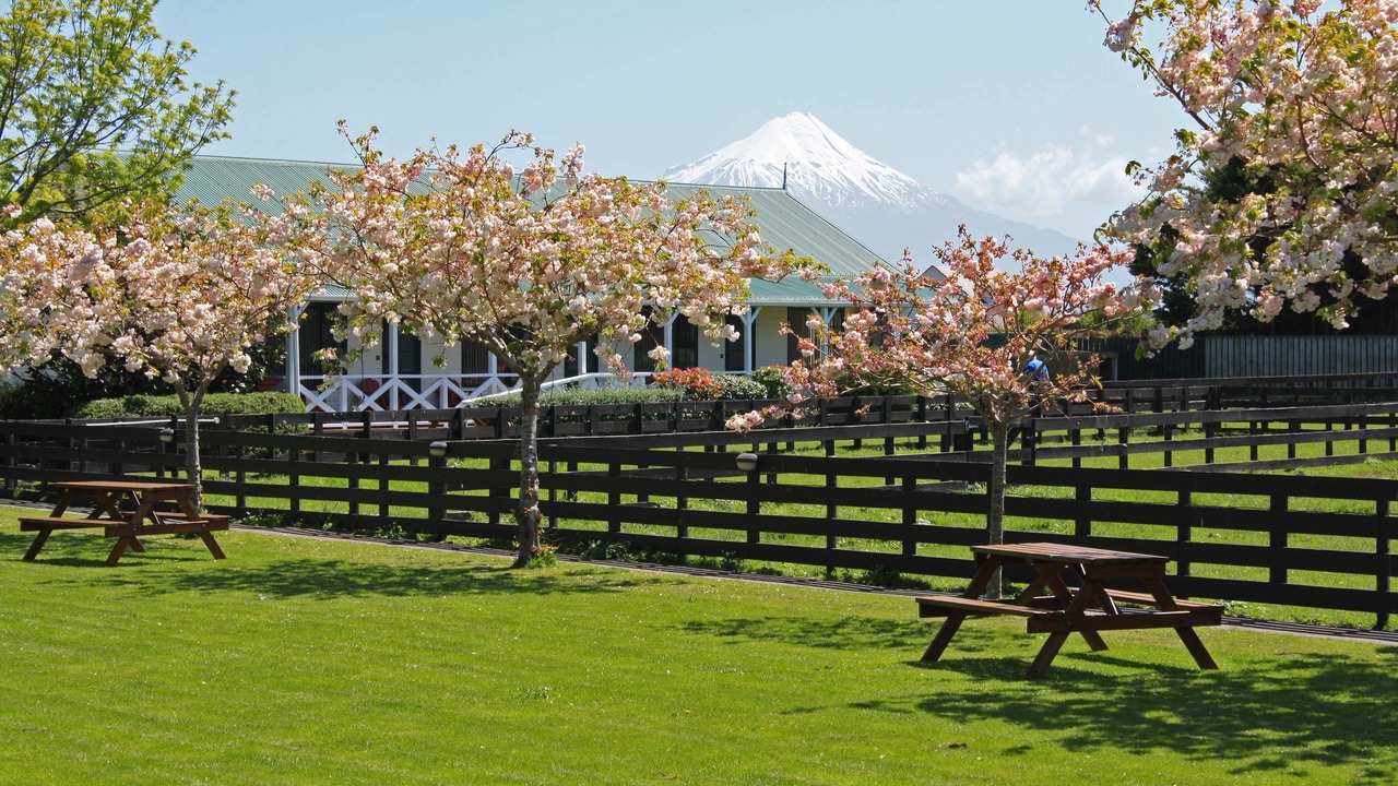 Photo of Outdoor in Hawera