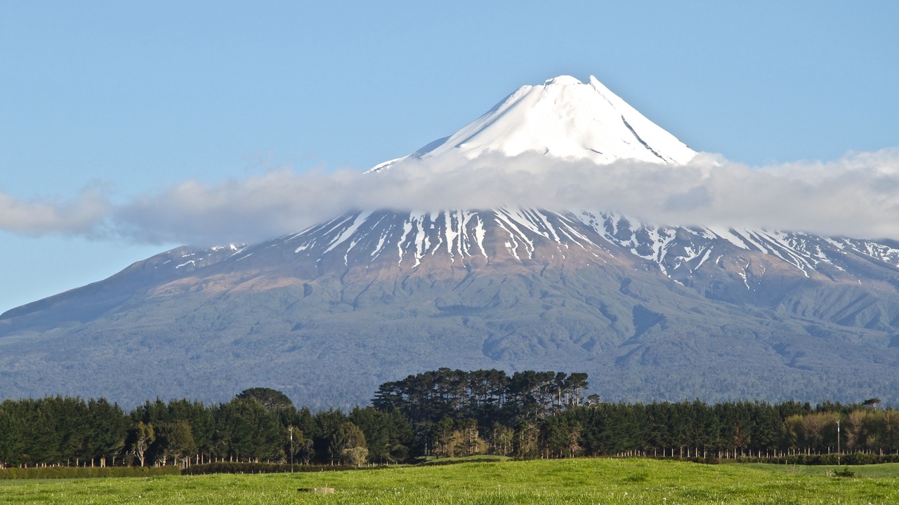 Photo of Others in Hawera
