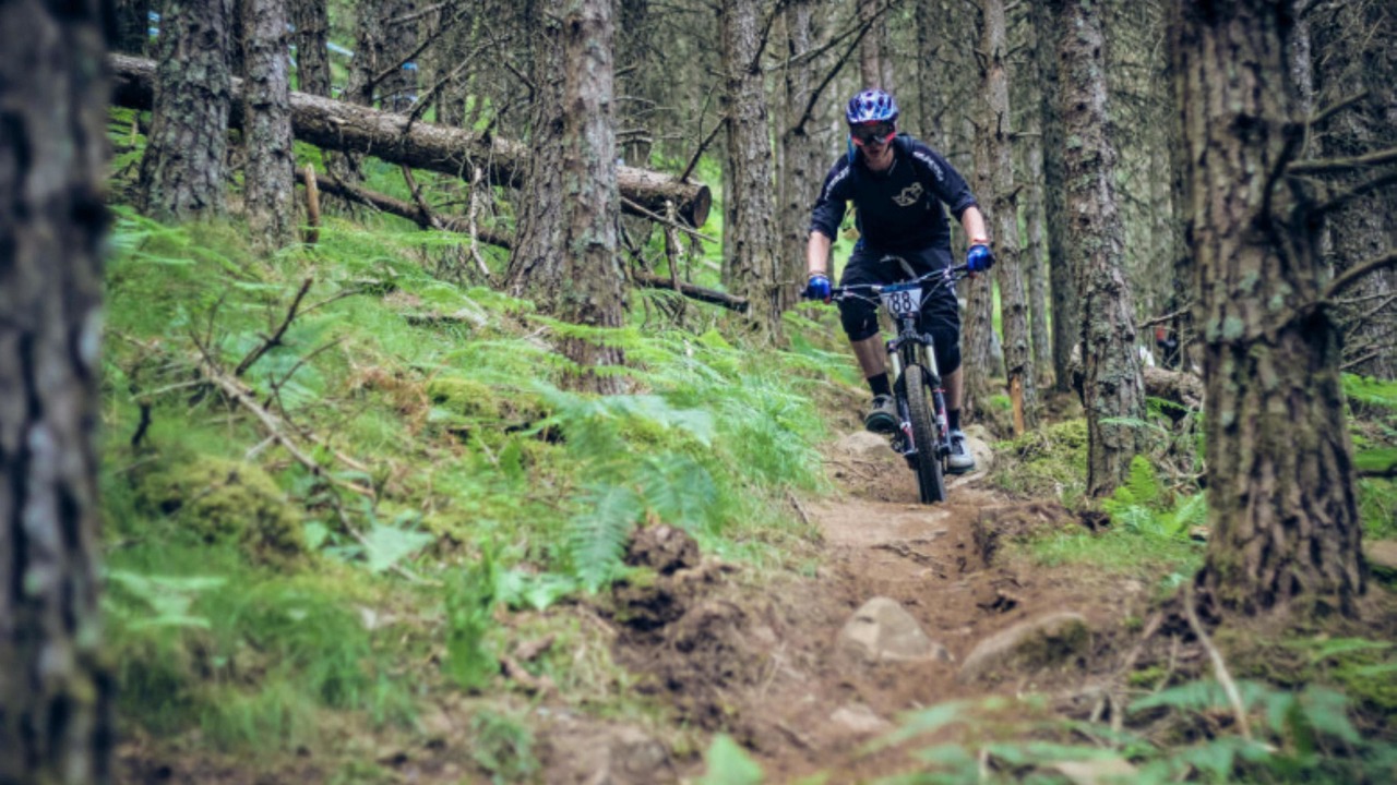 Photo of Others in Newtonmore