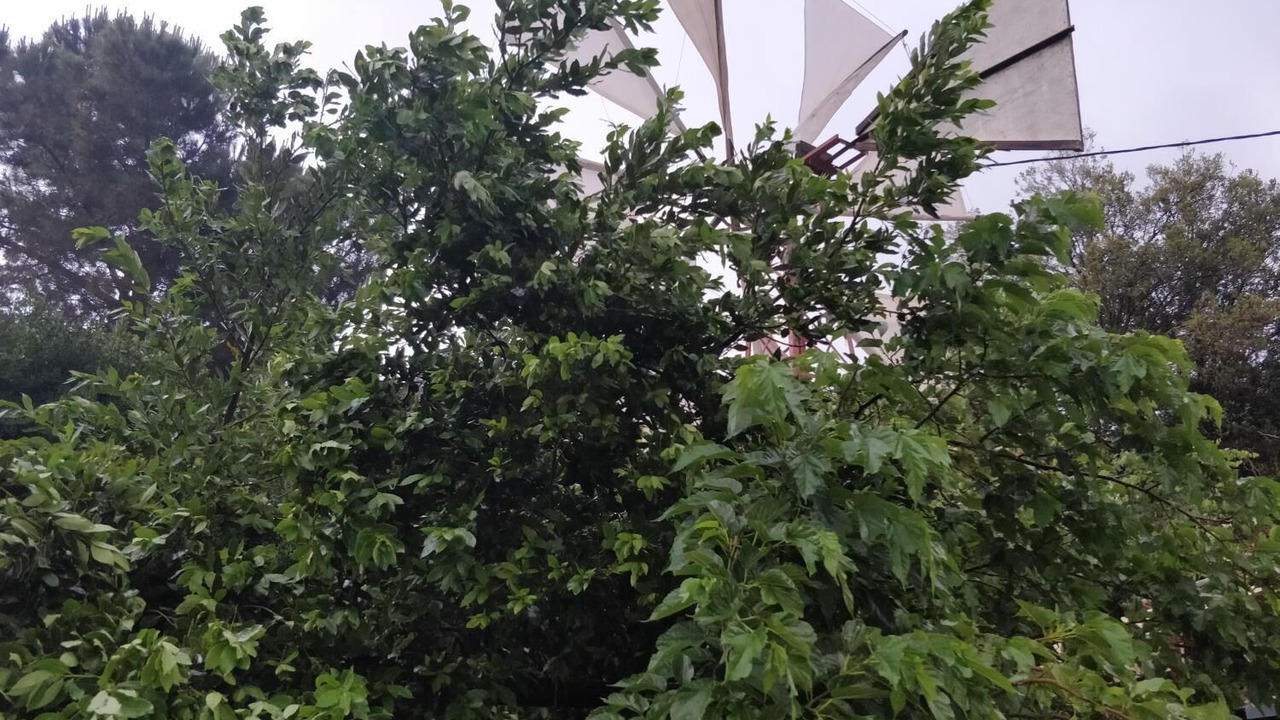 Photo of Outdoor in Magoulas