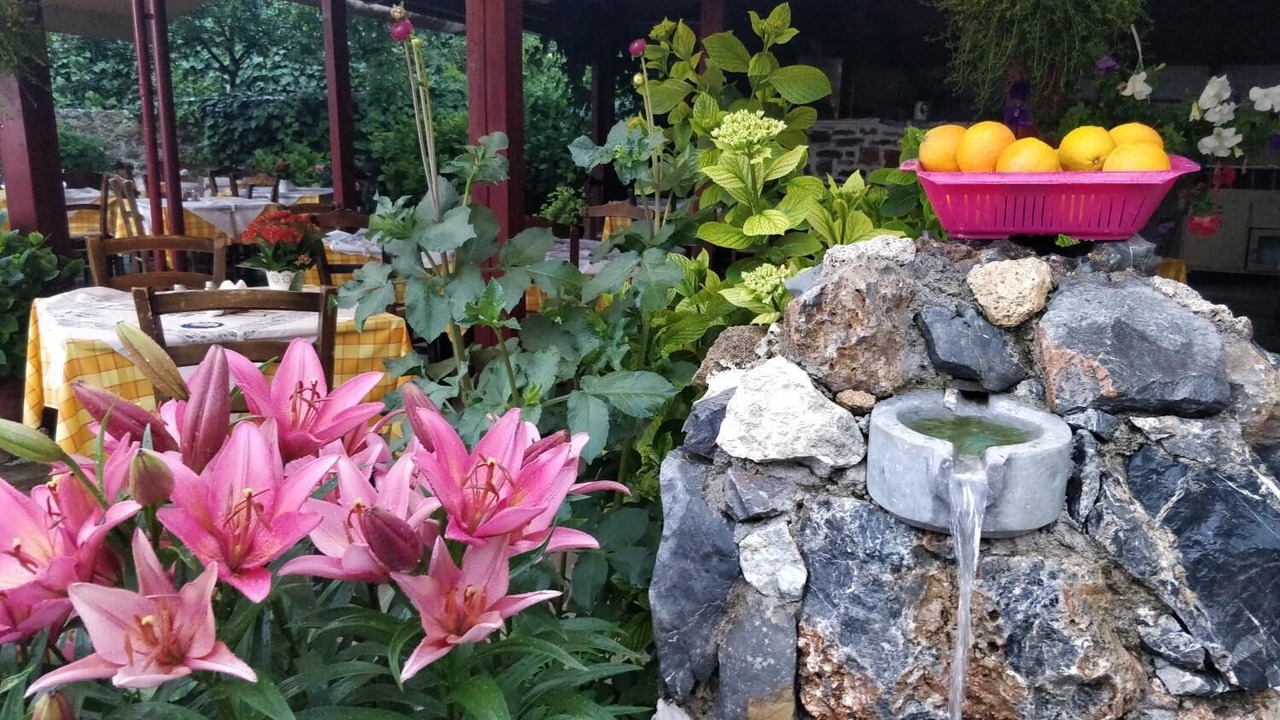 Photo of Outdoor in Magoulas