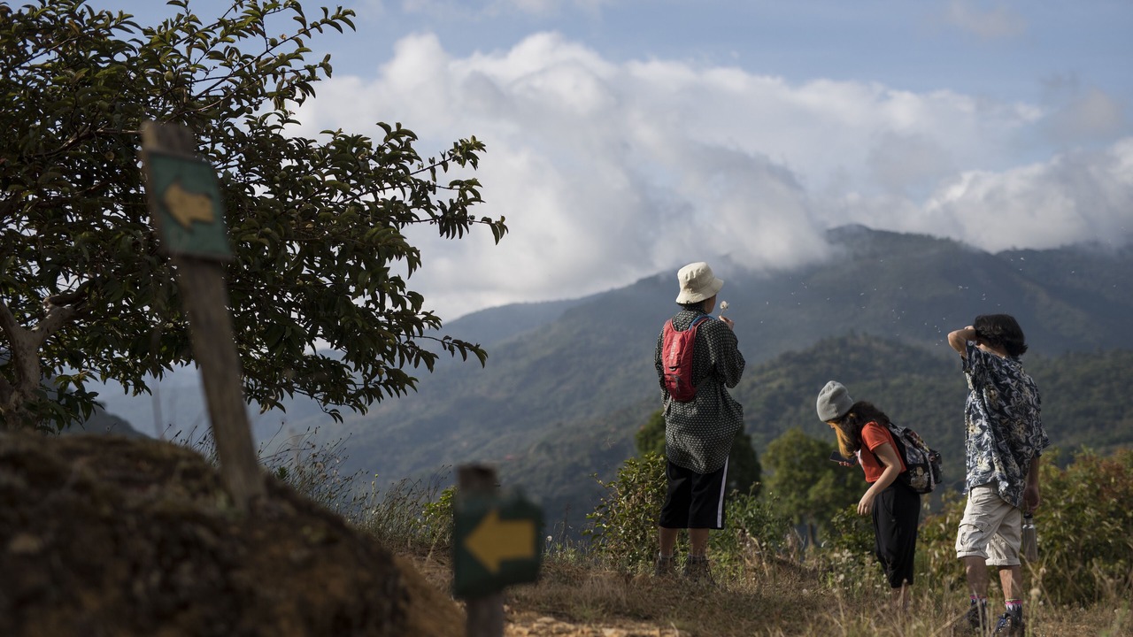 Photo of Outdoor in Copey