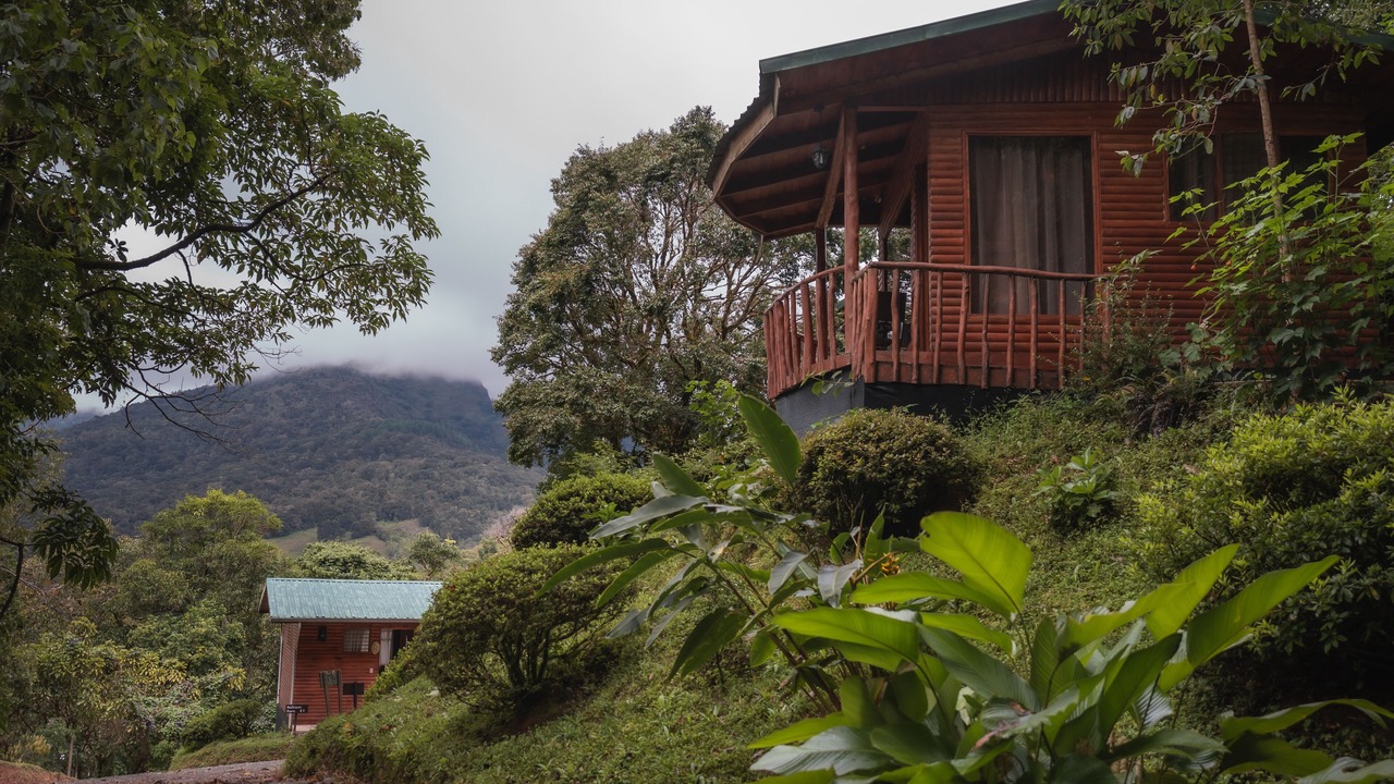 Photo of Outdoor in Copey