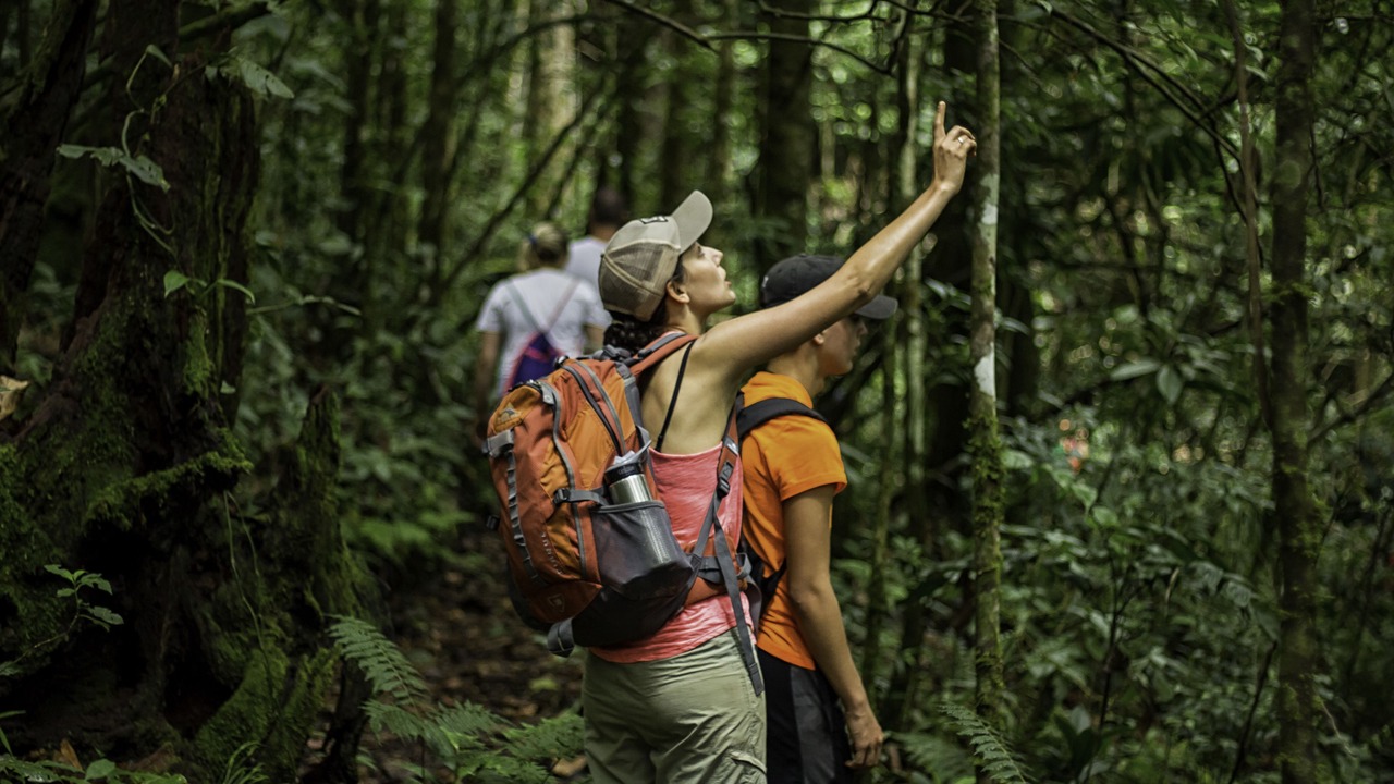 Photo of Outdoor in Copey
