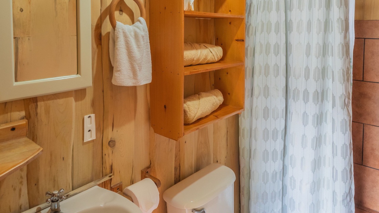 Photo of Bathroom in Copey