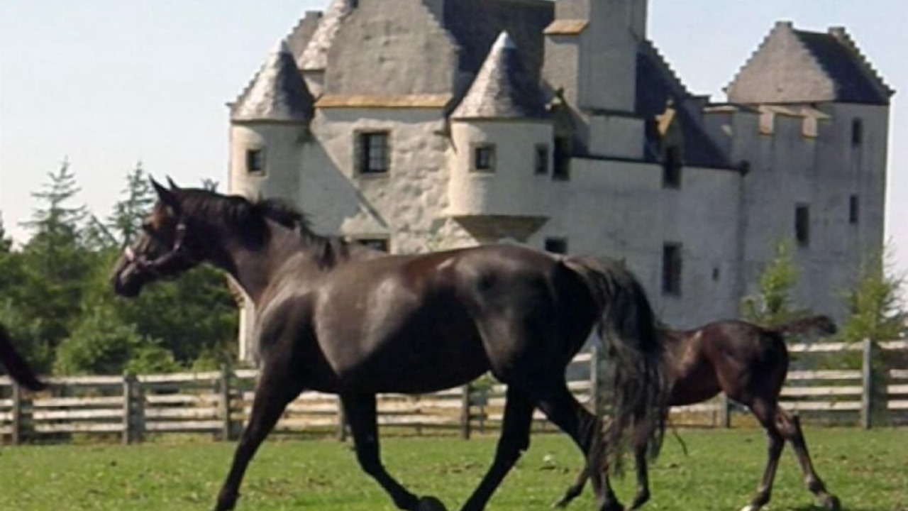 Photo of Outdoor in Musselburgh