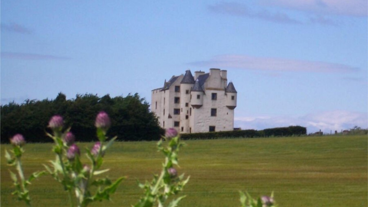 Photo of Outdoor in Musselburgh