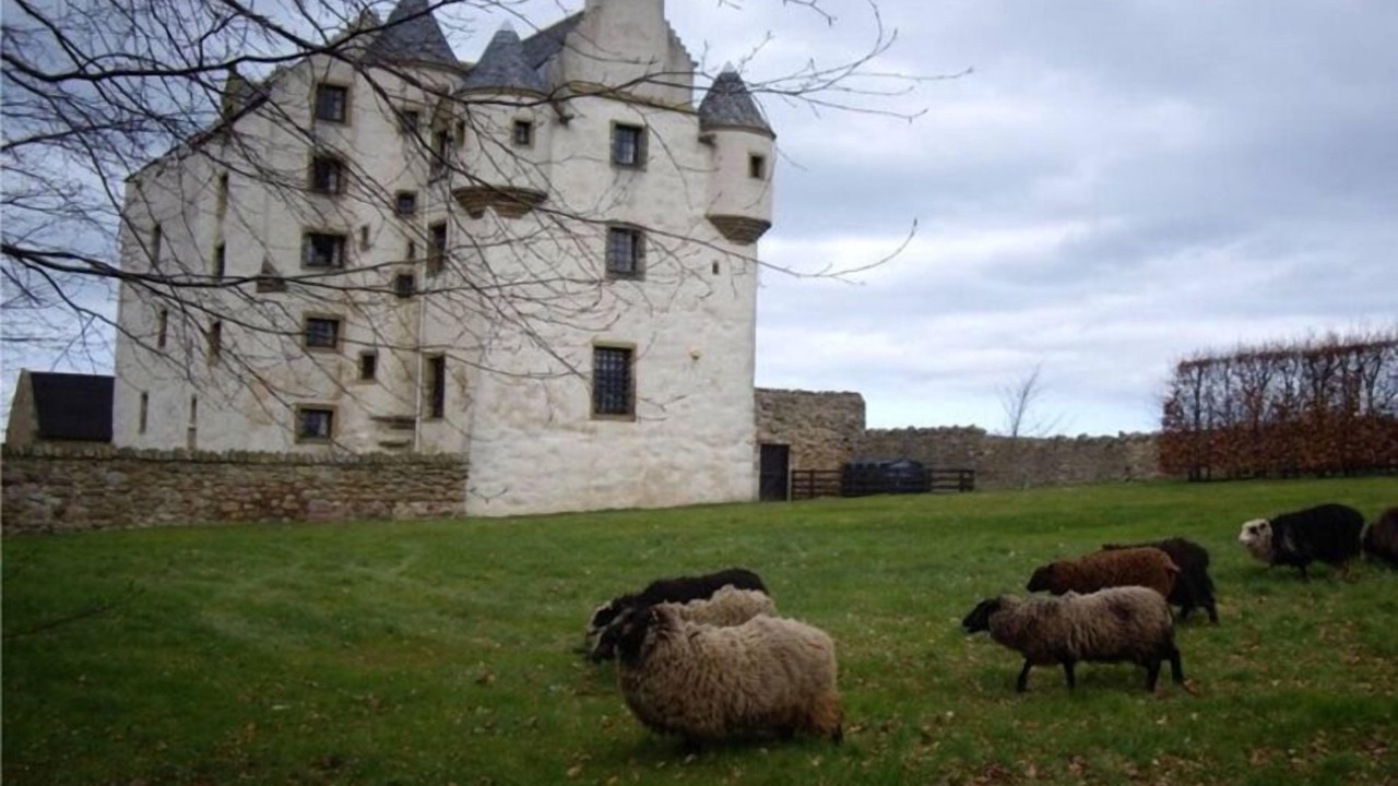 Photo of Outdoor in Musselburgh