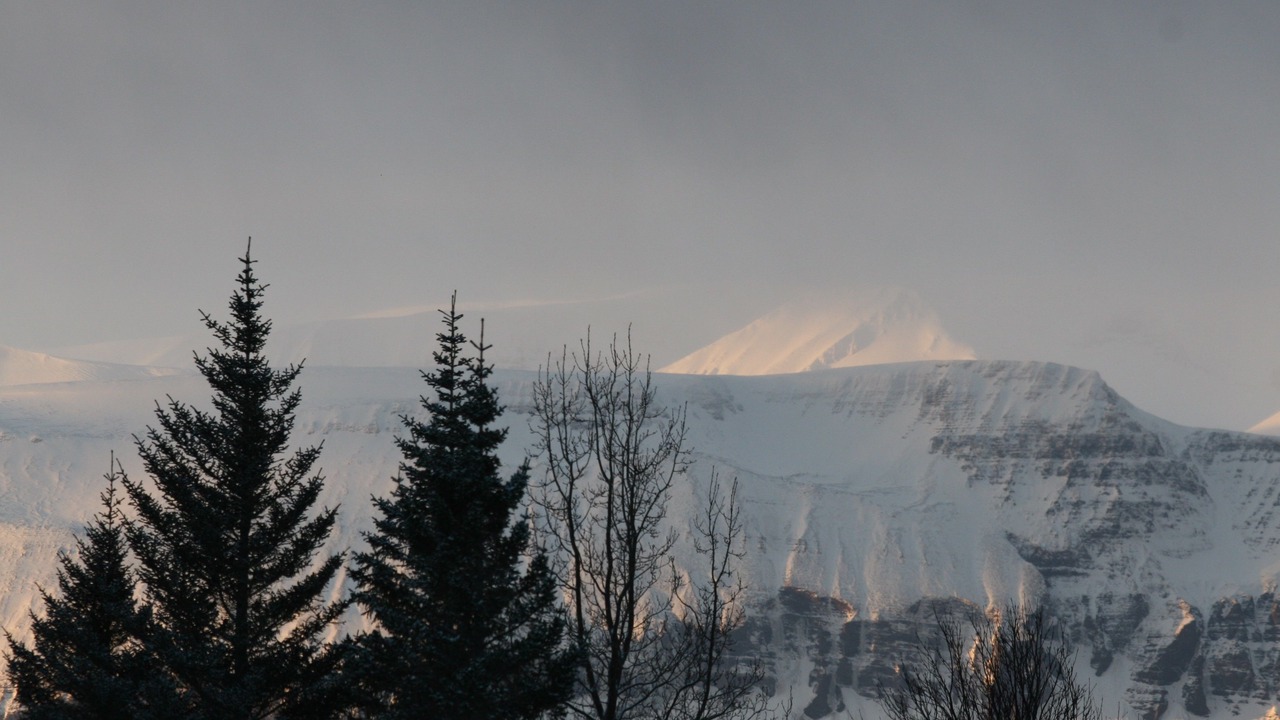 Photo of Others in Husavik