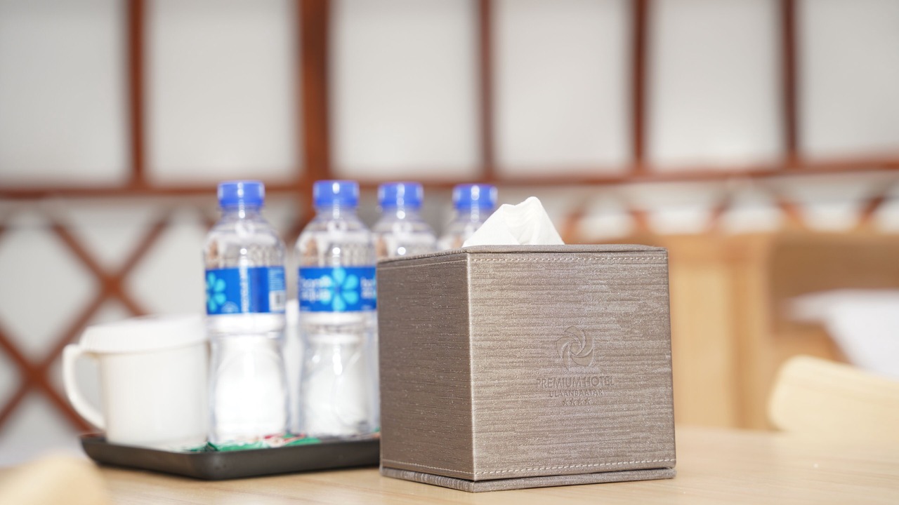 Photo of Others in Ulaanbaatar