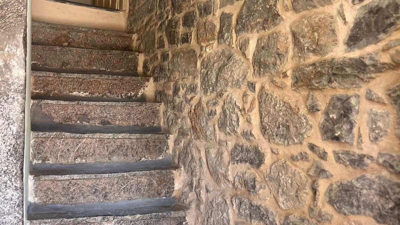 Photo of Others in Olympi