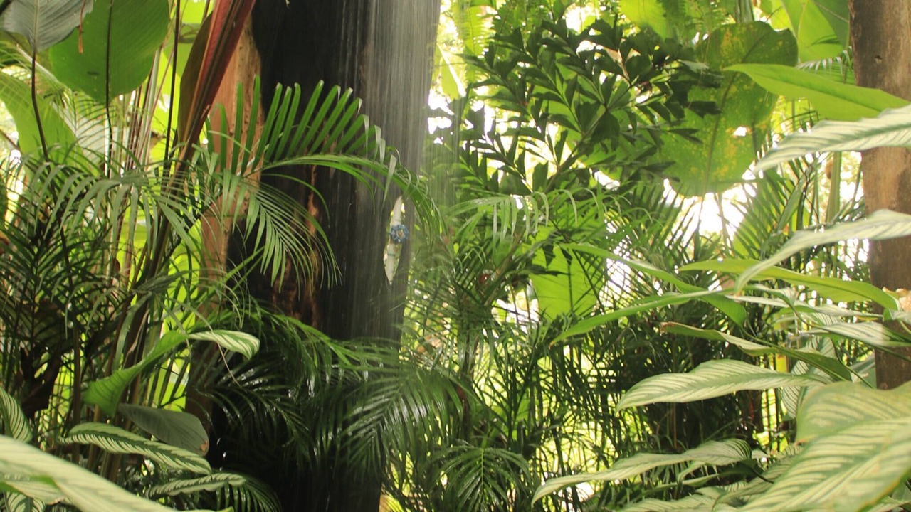 Photo of Outdoor in Vieja