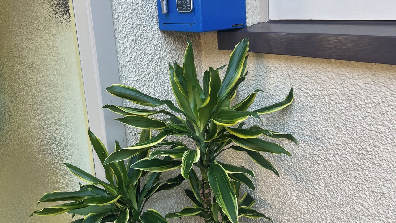 Photo of Outdoor in Palmerston North