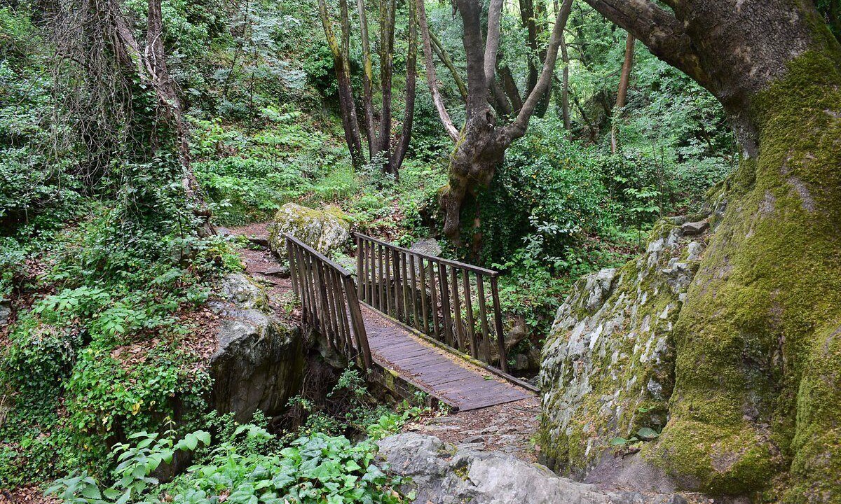 Photo of Outdoor in Makrynitsa