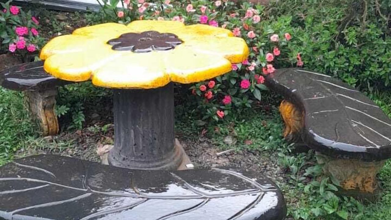 Photo of Patio Balcony in Rivas
