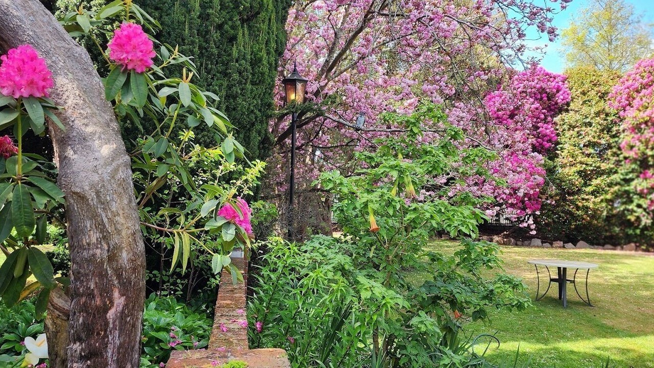 Photo of Outdoor in Scottsdale
