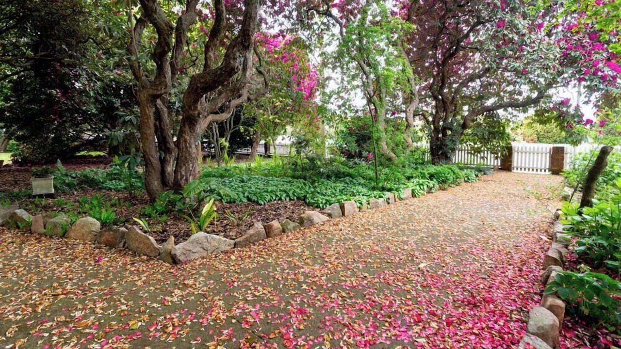 Photo of Outdoor in Scottsdale