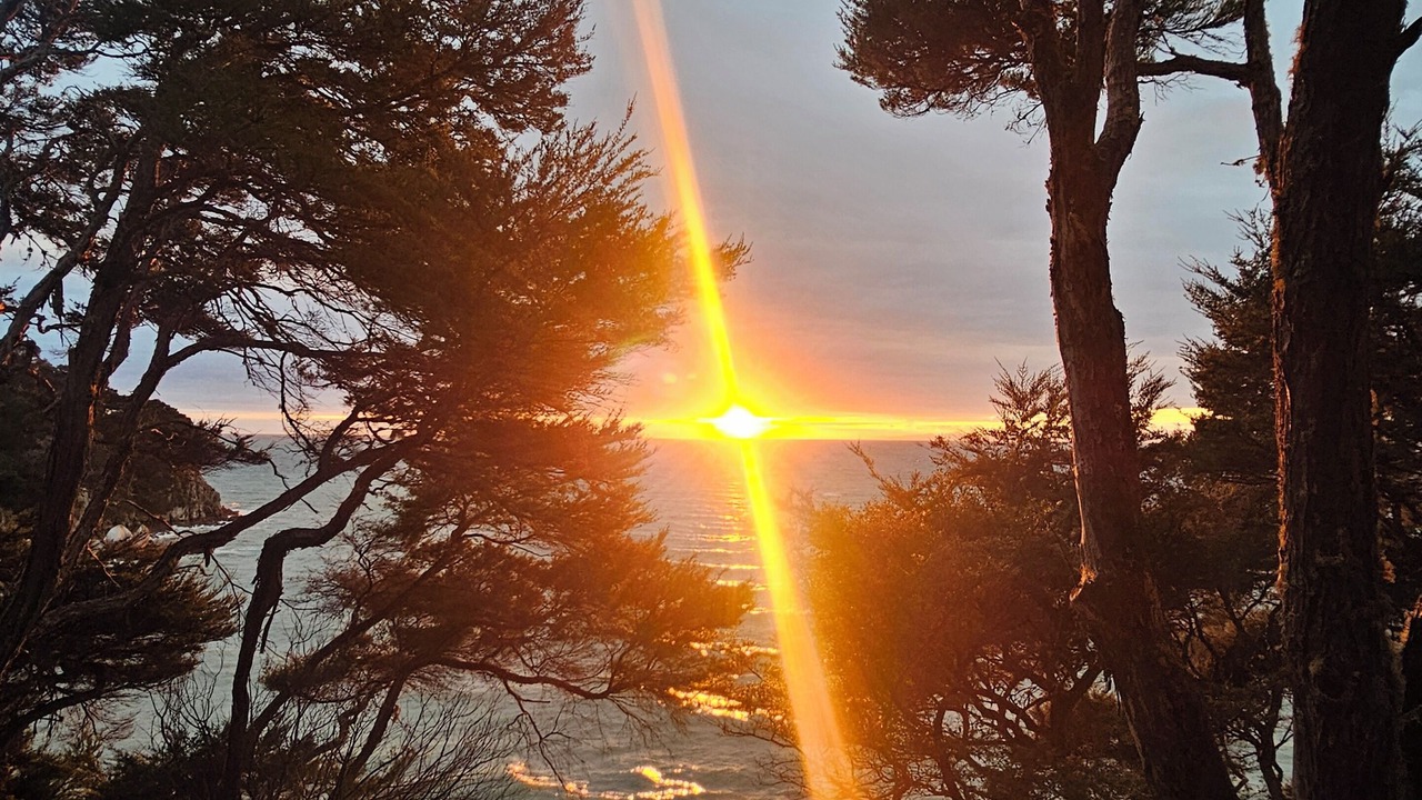 Photo of Others in Ngaio Bay