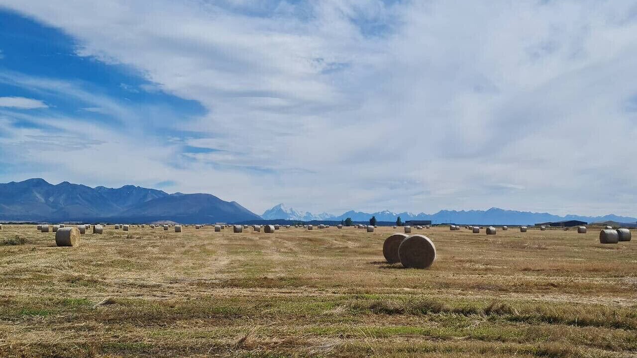 Photo of Others in Twizel