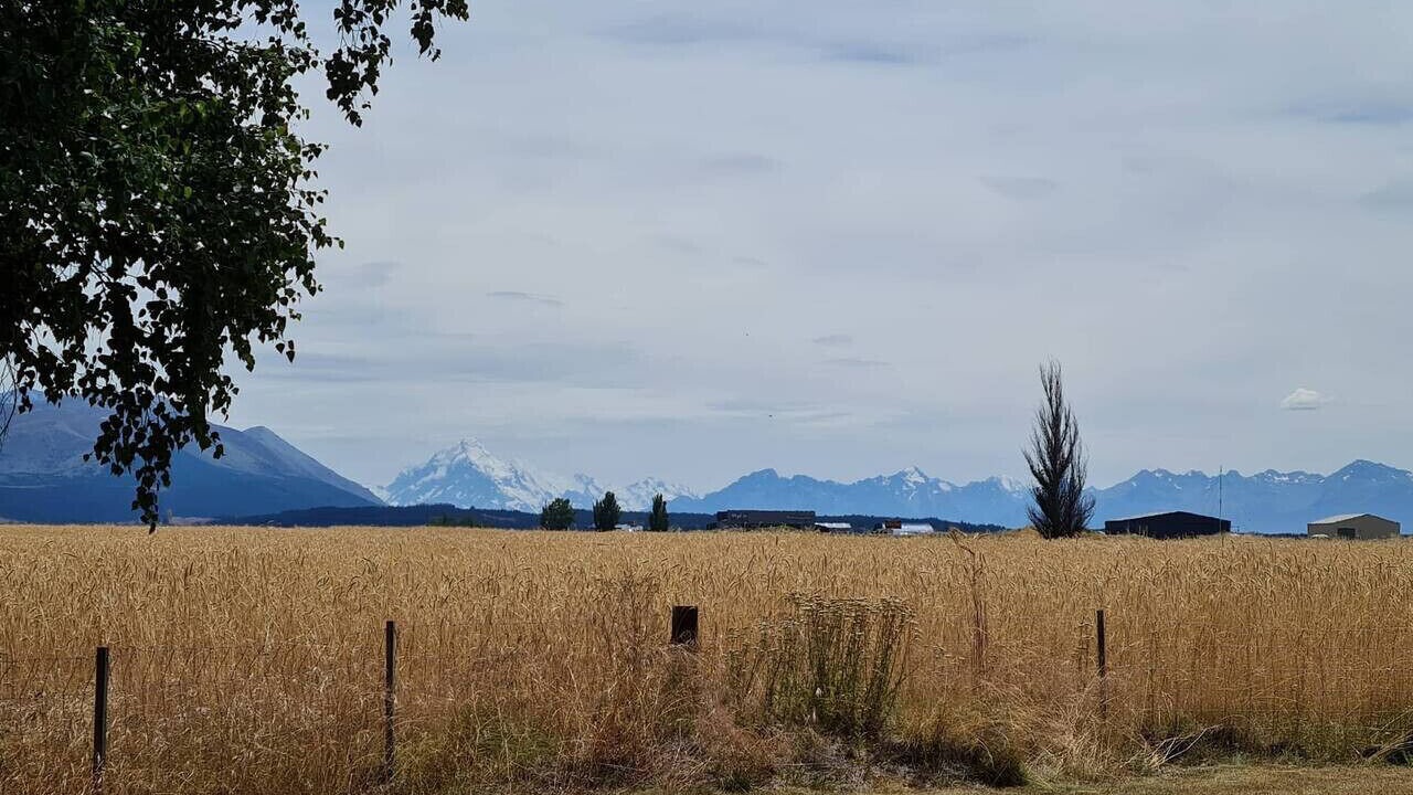 Photo of Others in Twizel